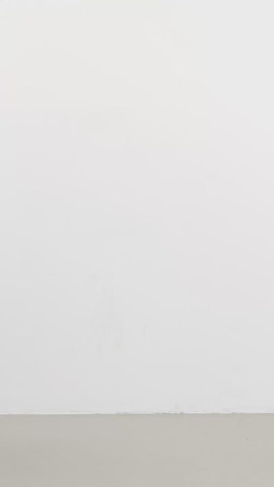 LAURIE Valerie Shirt LS Shirts 10000 White